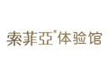 索菲亞DIY項目順利通過驗收！