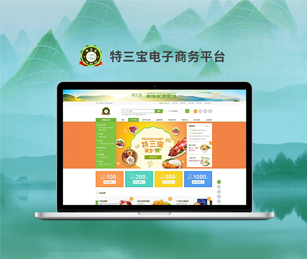 廣東高質資源環(huán)境研究院有限公司特三寶電子商務網站建設開通上線！