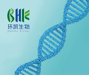 環(huán)凱生物官網(wǎng)網(wǎng)站建設(shè)項目開通上線啦！