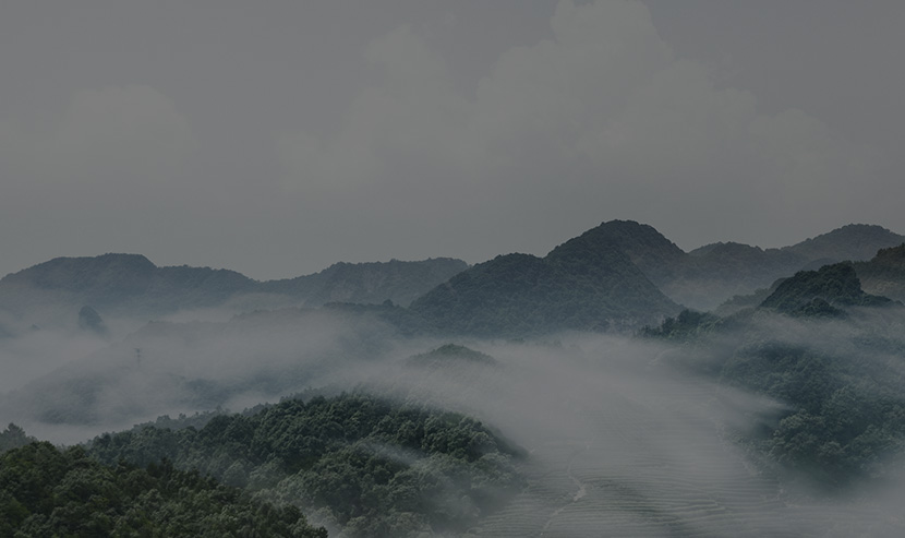 廣州網(wǎng)站建設(shè)-今大福品牌官網(wǎng)建設(shè)