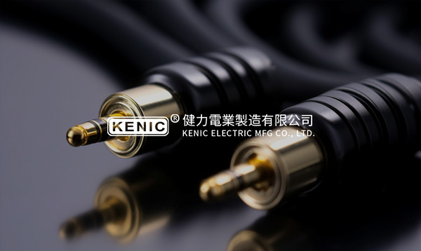 東莞健力電業(yè)制造廠官方網(wǎng)站建設(shè)項目開通上線啦！