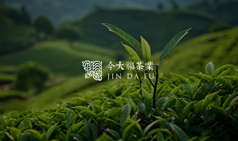 今大福官網(wǎng)改版開(kāi)通上線啦！