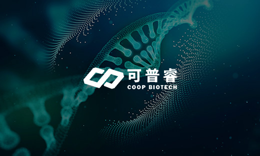 可普睿生物科技官網(wǎng)煥新上線，全方位展現(xiàn)研發(fā)實(shí)力與業(yè)務(wù)范疇